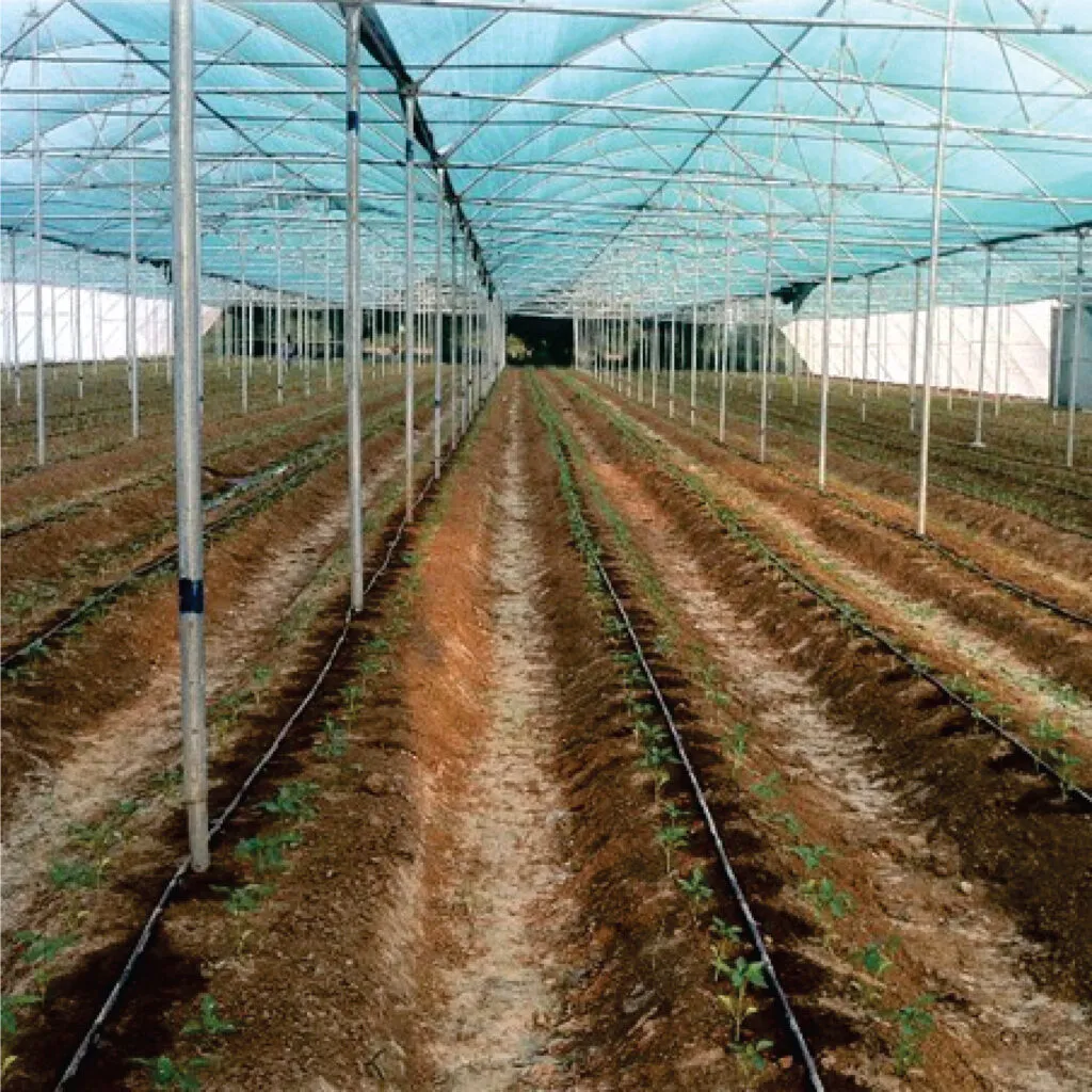 Dome Roof NET HOUSE – DRNH