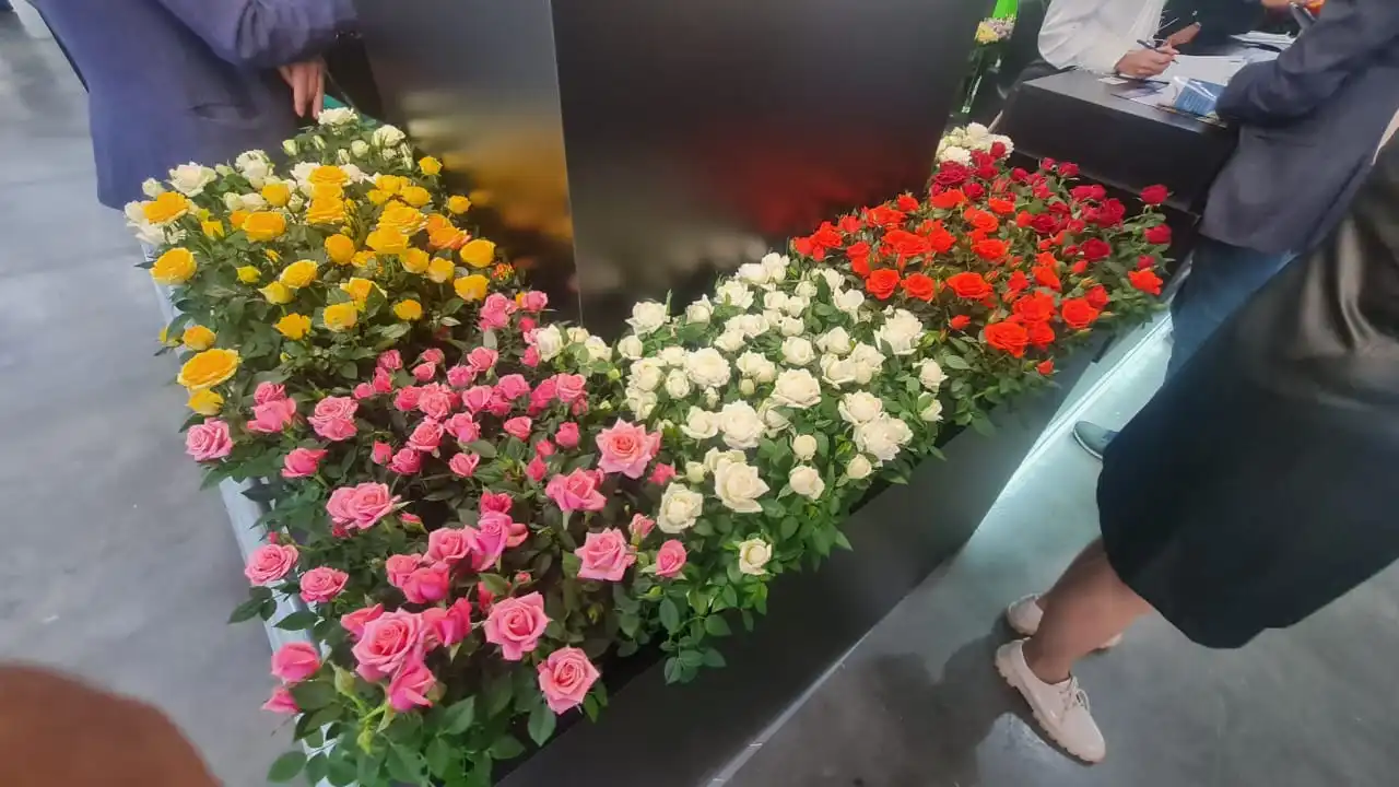 Flowers Expo Russia Moscow — image 25