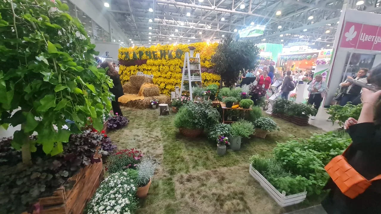 Flowers Expo Russia Moscow — image 75