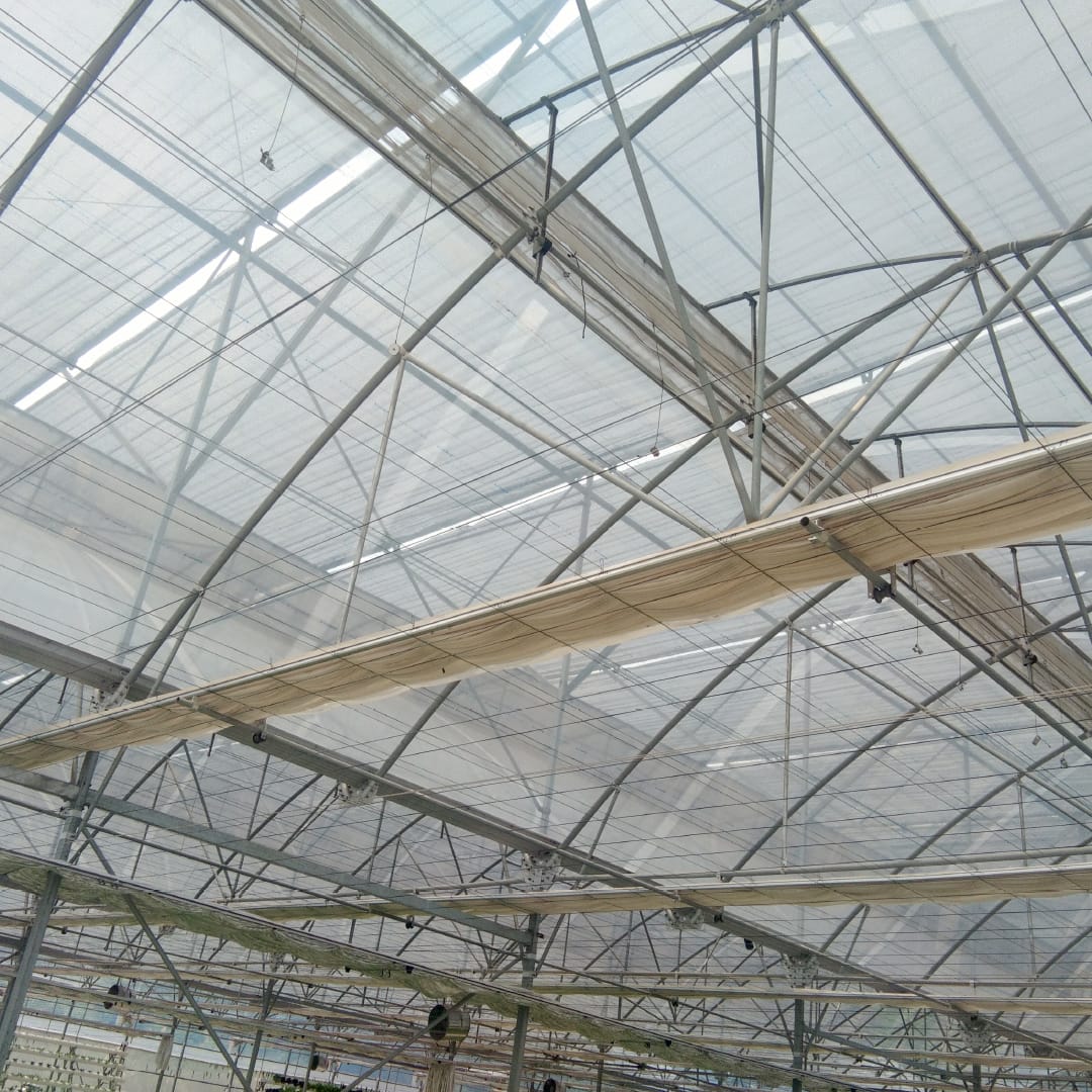 IFTEX — image 2