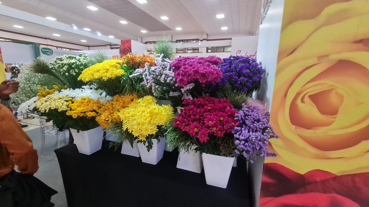 IFTEX — image 13