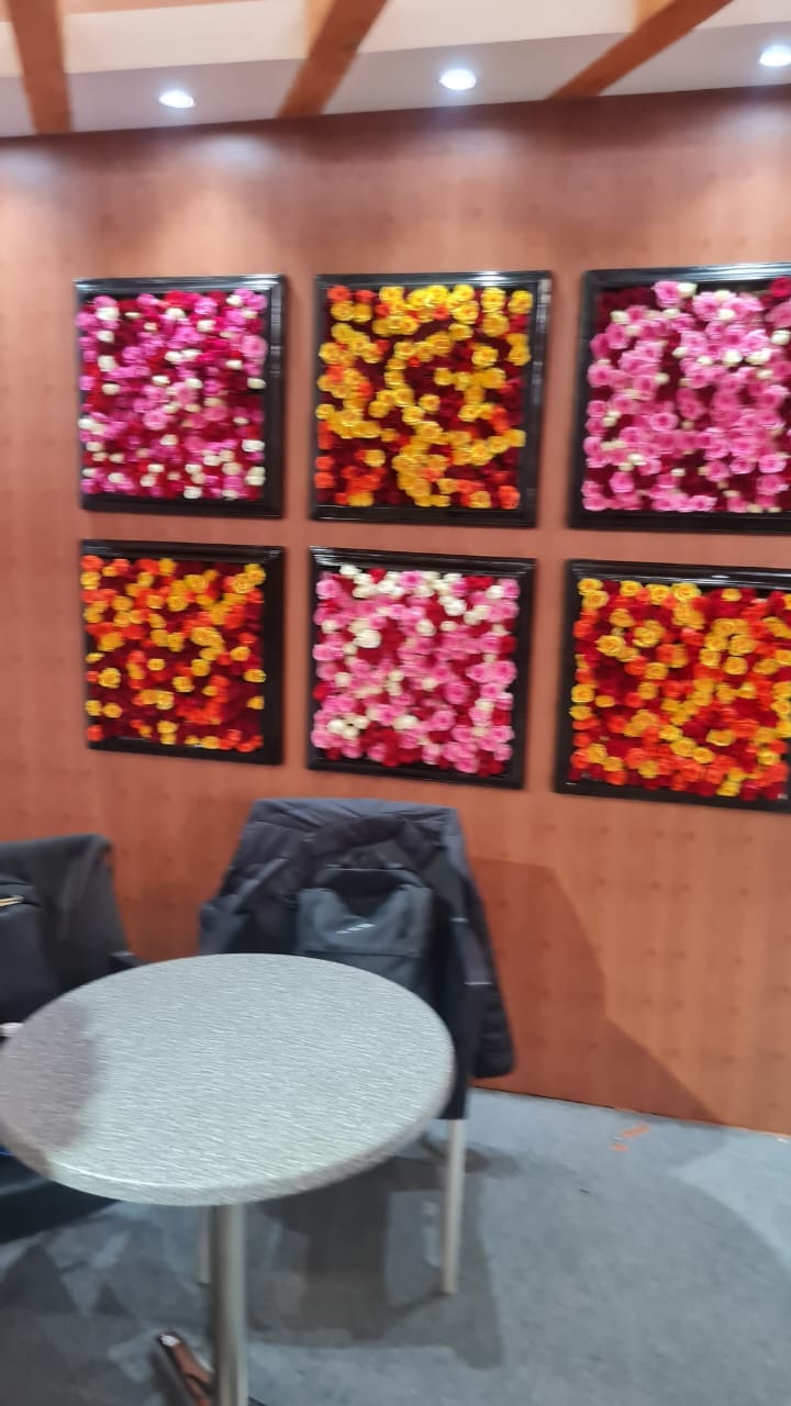 IFTEX — image 27