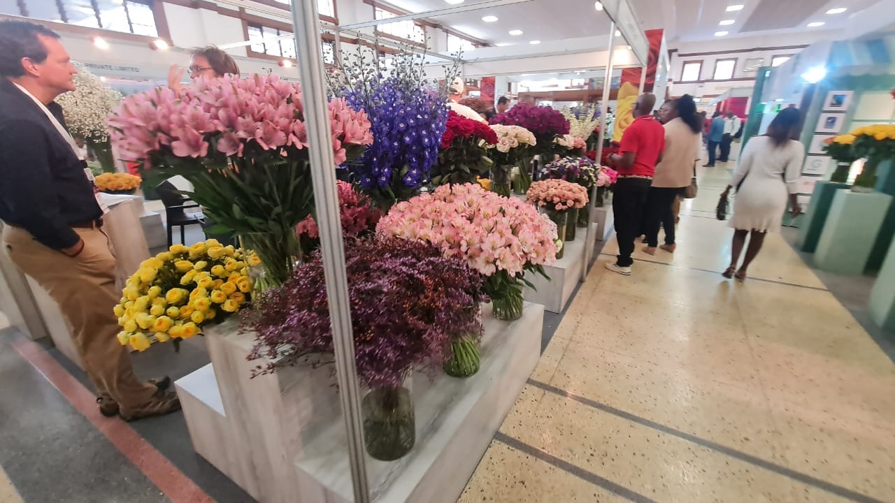 IFTEX — image 36