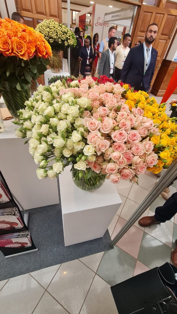 IFTEX — image 45