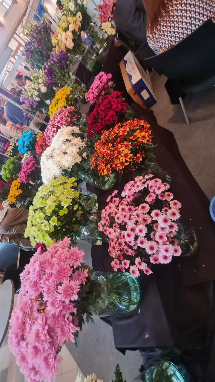 IFTEX — image 46