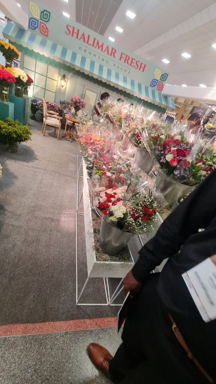 IFTEX — image 55