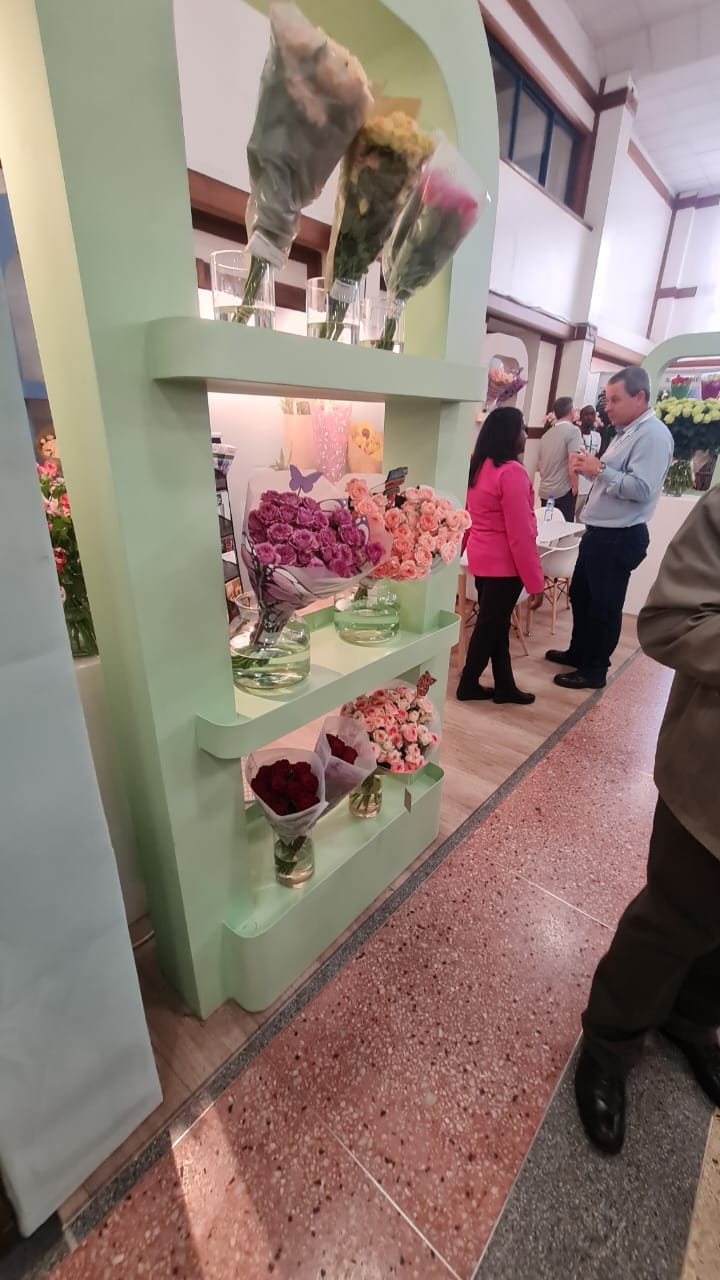 IFTEX — image 61
